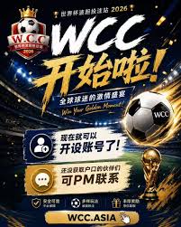 赛后采访